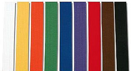 Centura karate EvoGym ART-691